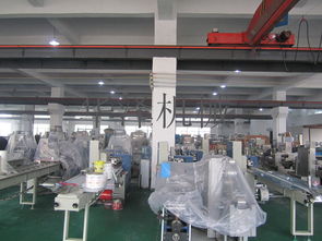 中小企業福音 溫州產多功能食品包裝機與軟件開發服務，一站式高性價比解決方案